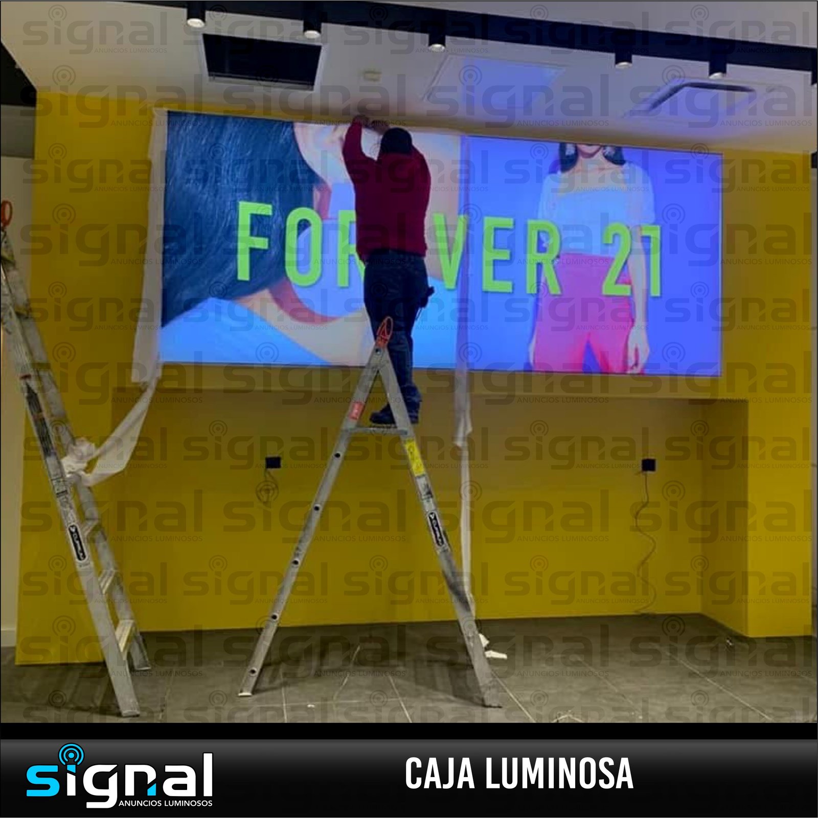 Anuncio tipo caja de luz en merida