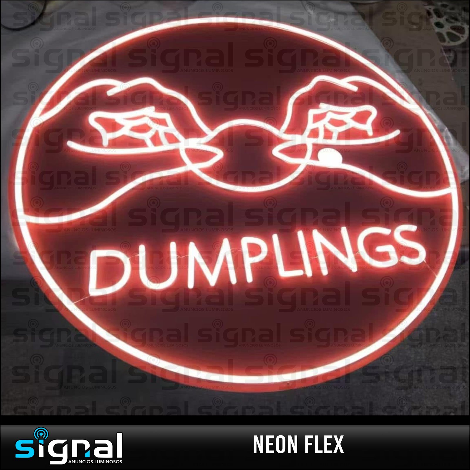 Anuncio de Neon Flex en merida