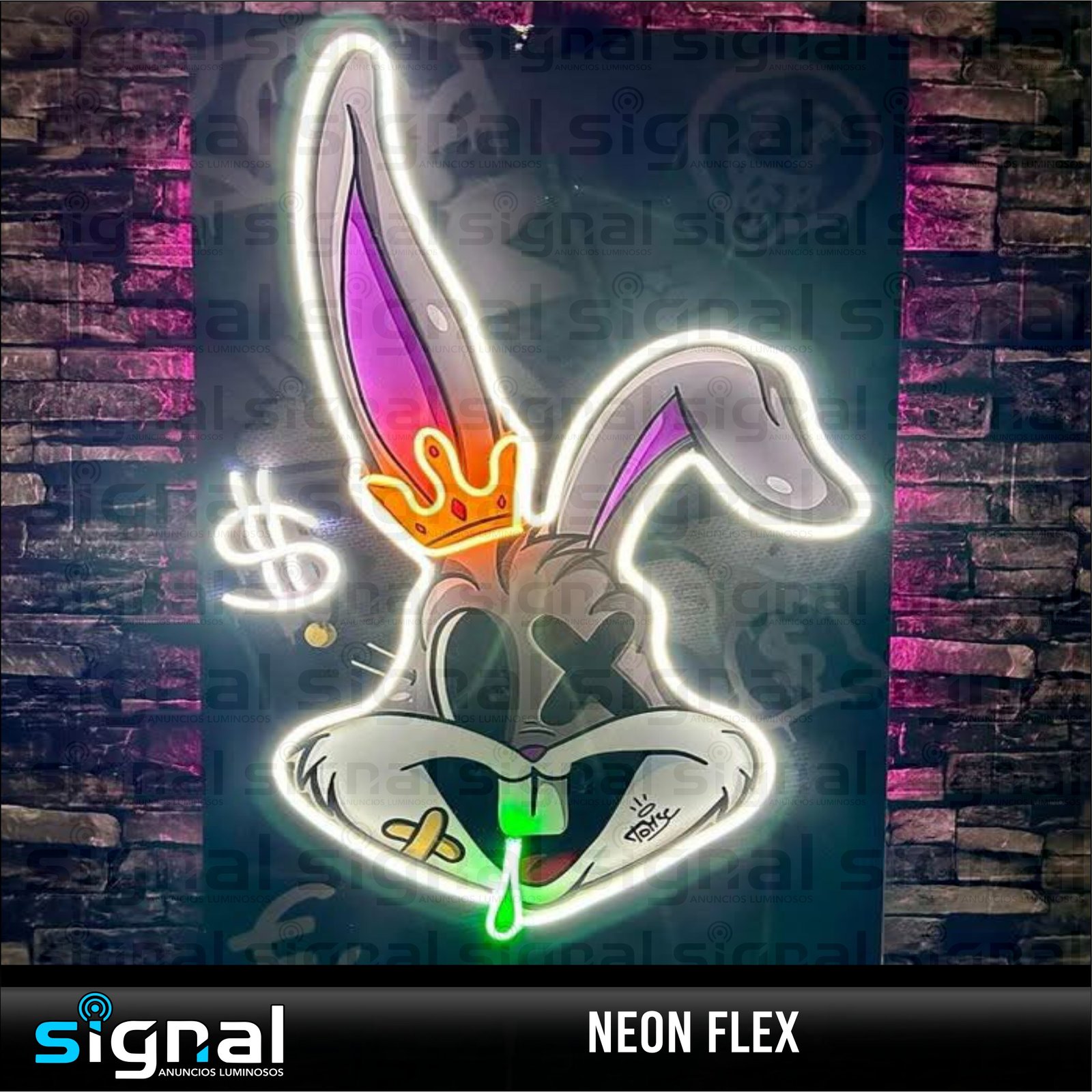 Anuncio de Neon Flex en merida