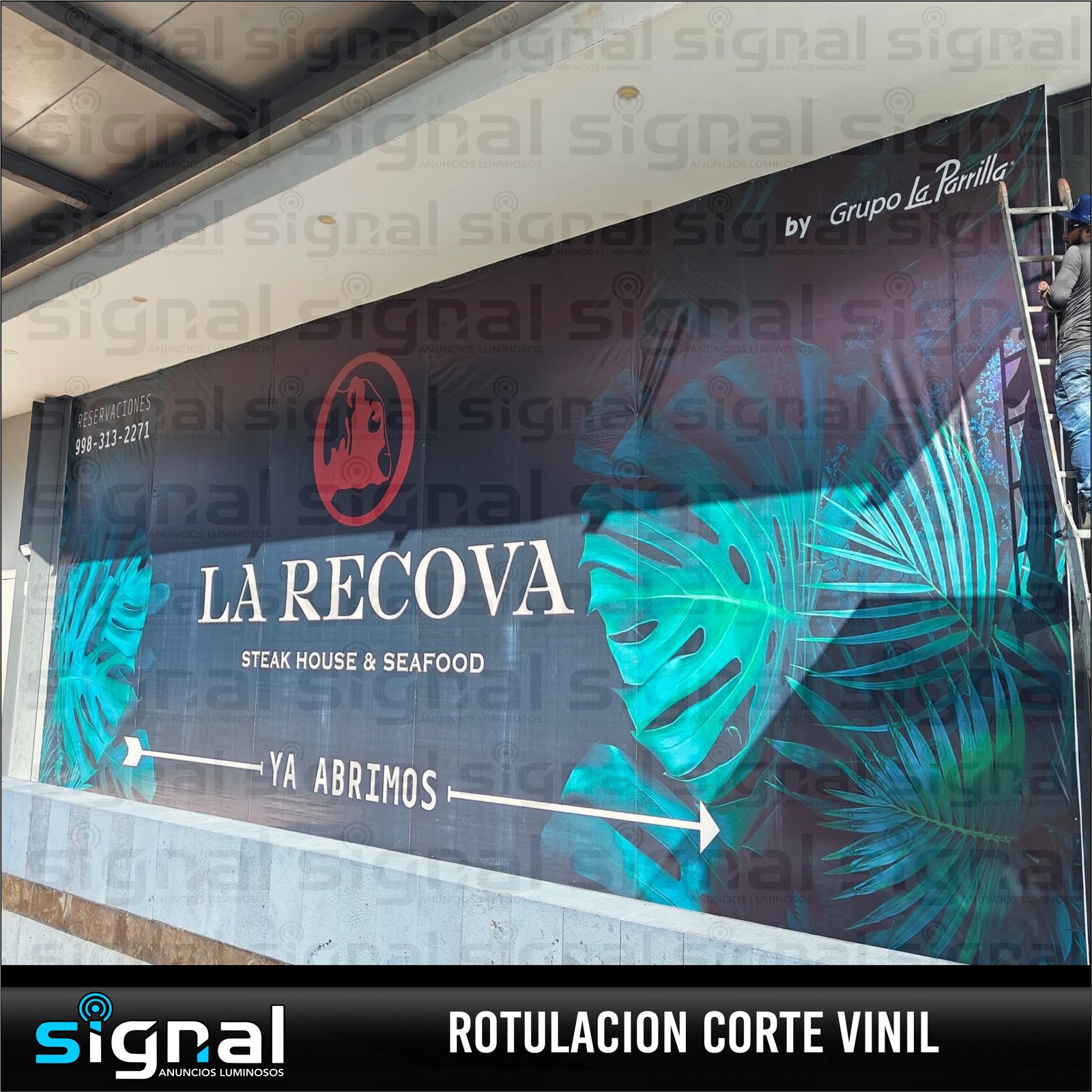 ROTULACION VEHICULAR Y ROTULACION VINIL en merida