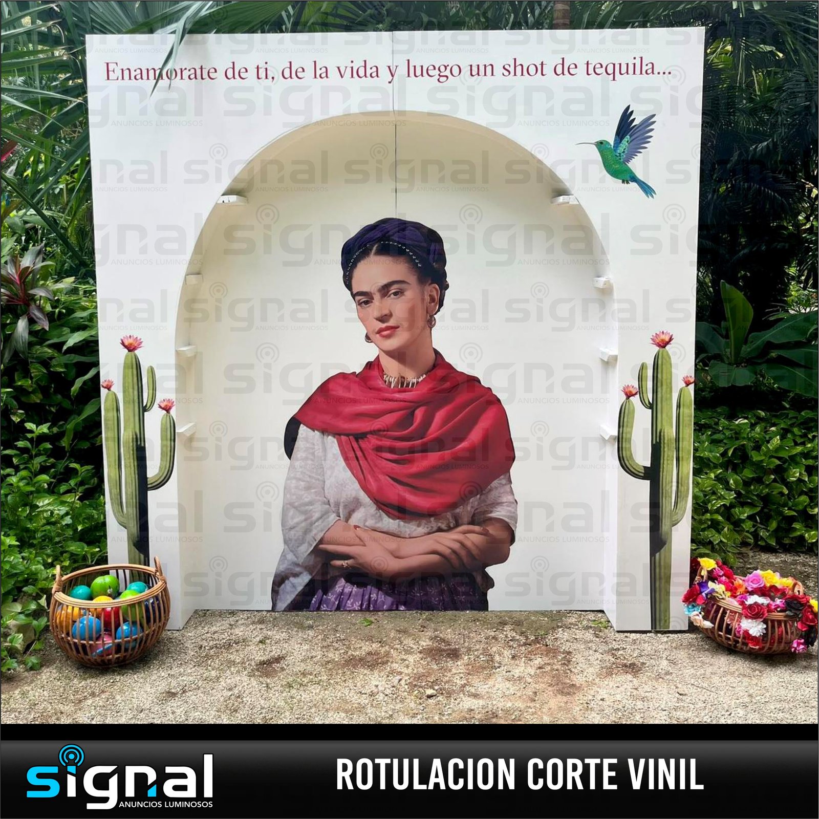 ROTULACION VEHICULAR Y ROTULACION VINIL en merida
